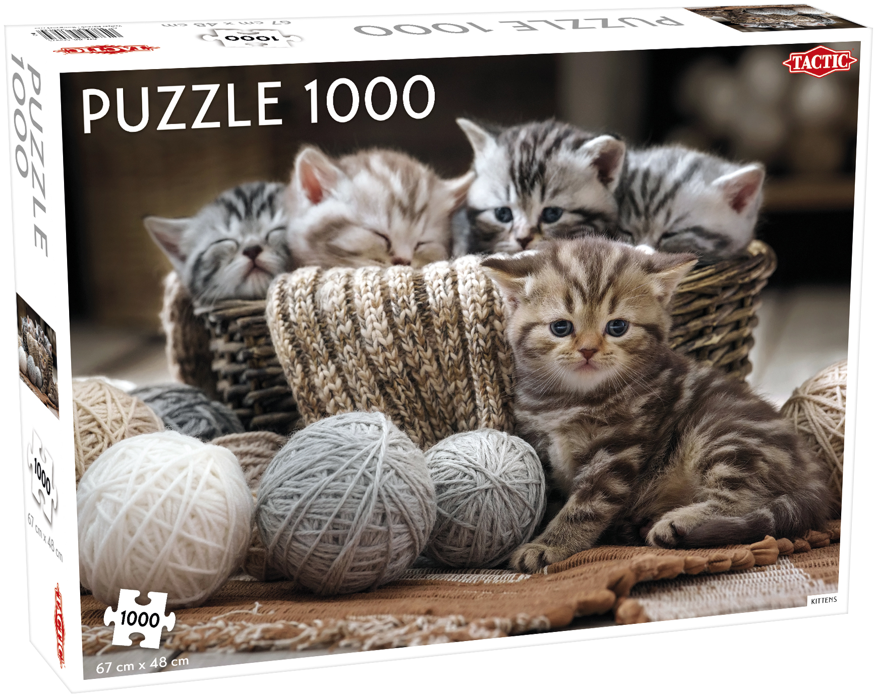 

Puzzle Котята 1000 элементов