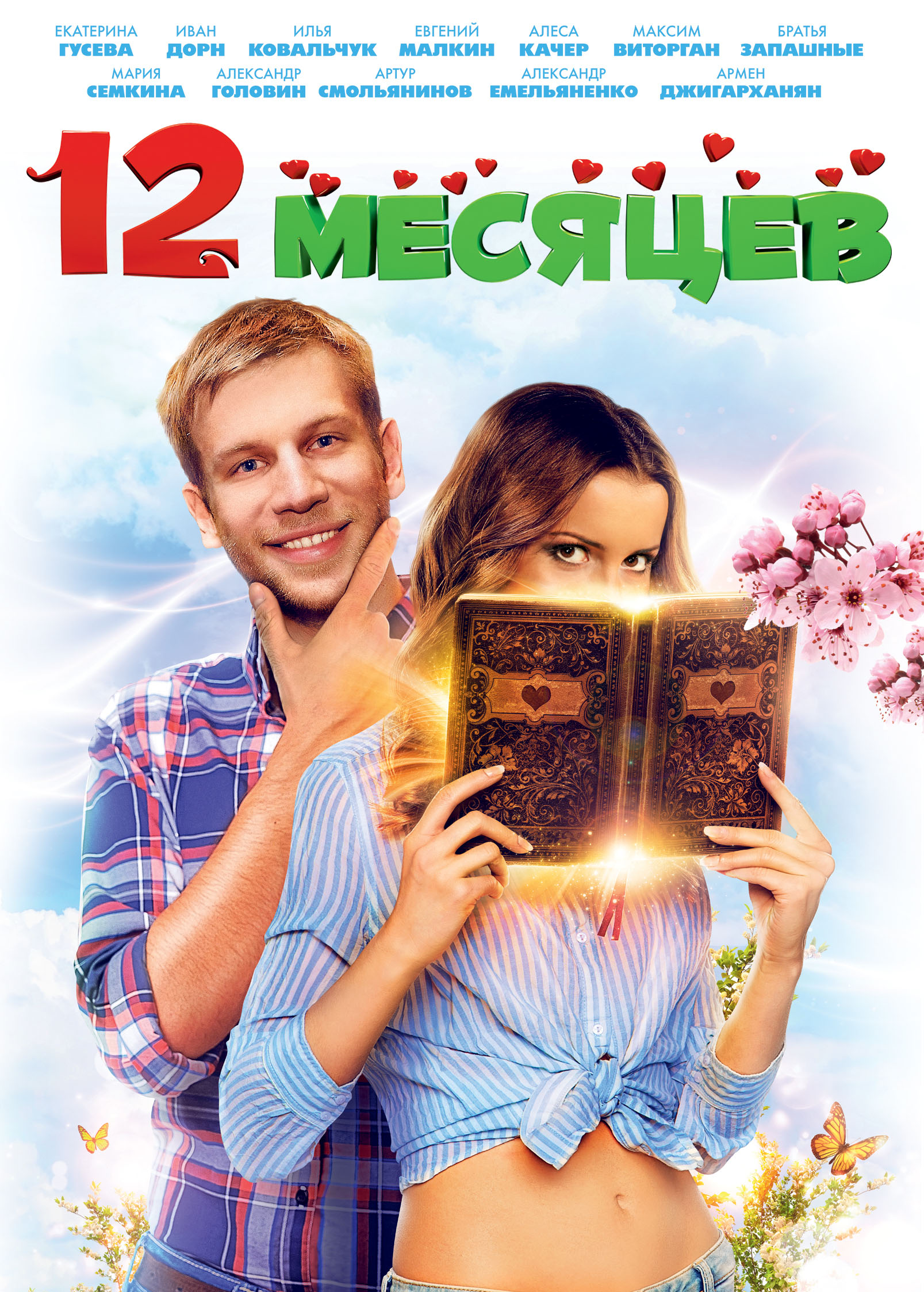 12 месяцев (DVD)