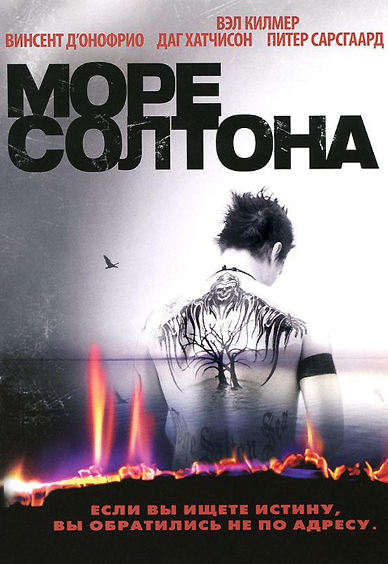 Море Солтона (DVD) цена и фото