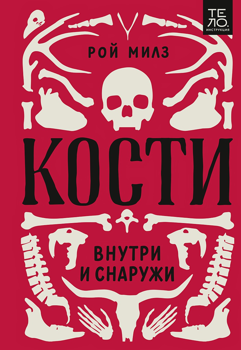 

Кости: внутри и снаружи