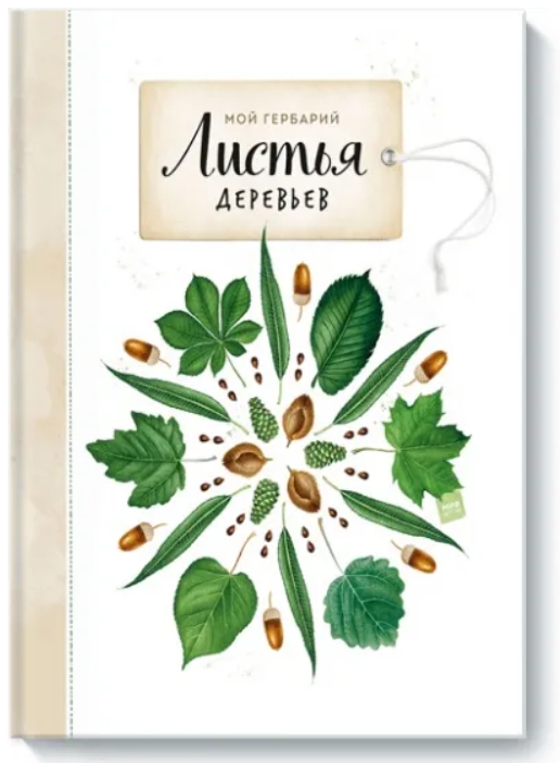 

Мой гербарий. Листья деревьев