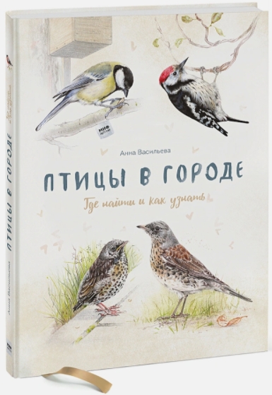 цена Птицы в городе. Где найти и как узнать