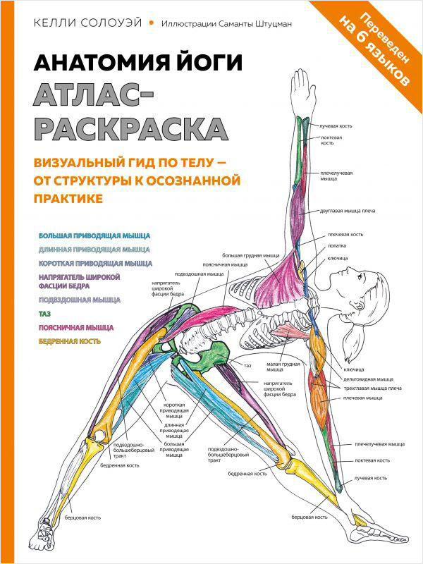 Анатомия йоги: атлас-раскраска. Визуальный гид по телу &ndash; от структуры к осознанной практике от 1С Интерес