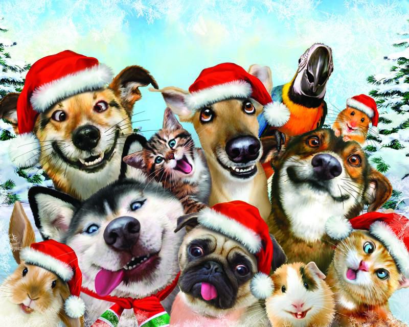

Super 3D Puzzle: Новогоднее селфи – New Year Pet Selfie (100 элементов)