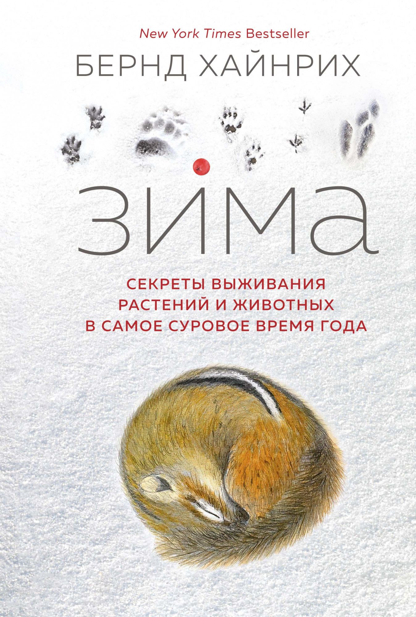 

Зима: Секреты выживания растений и животных в самое суровое время года