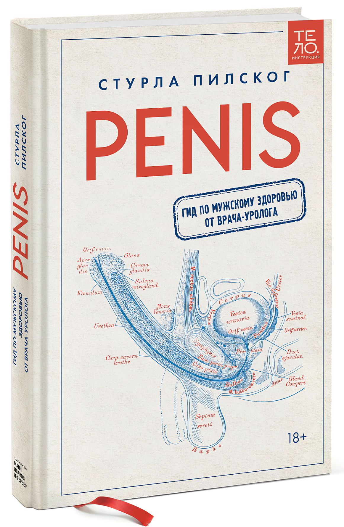 Penis: Гид по мужскому здоровью от врача-уролога