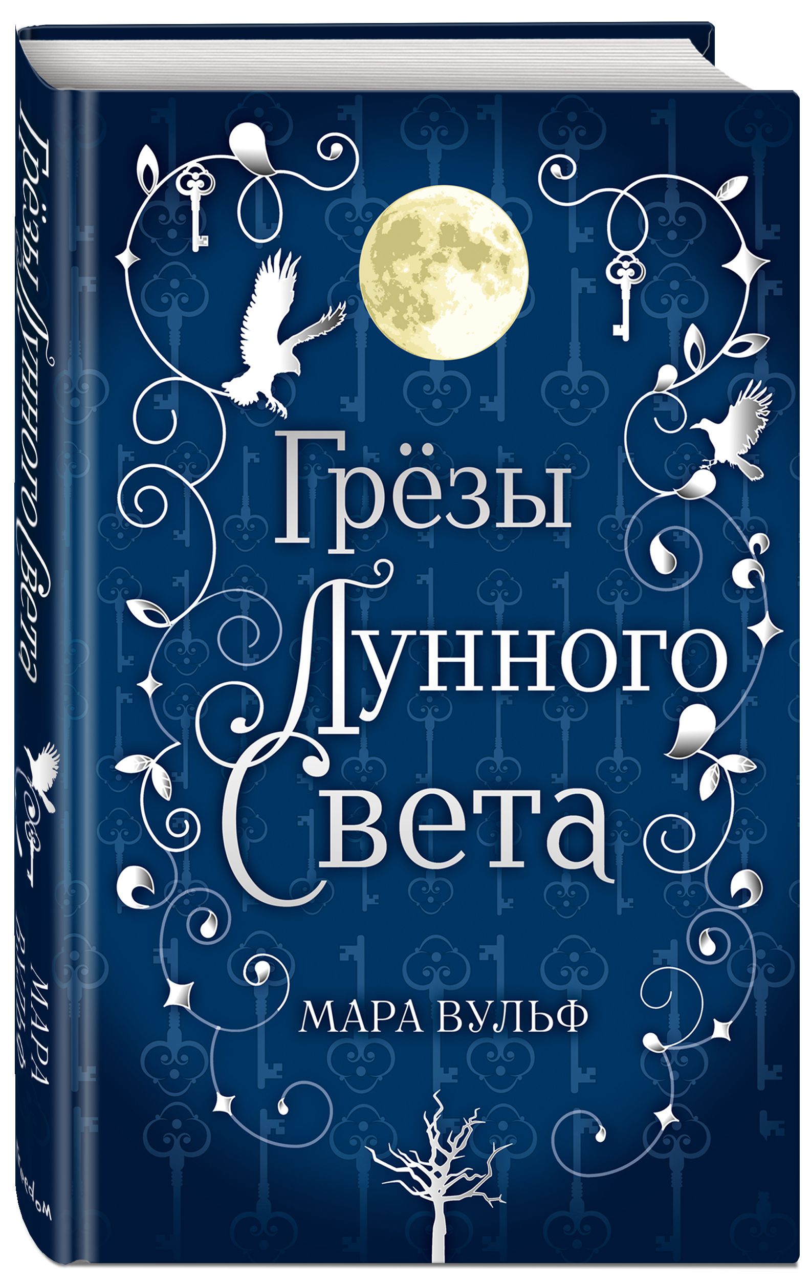 

Сага серебряного мира: Грёзы лунного света. Книга 4