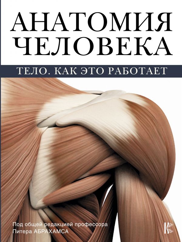 

Анатомия человека