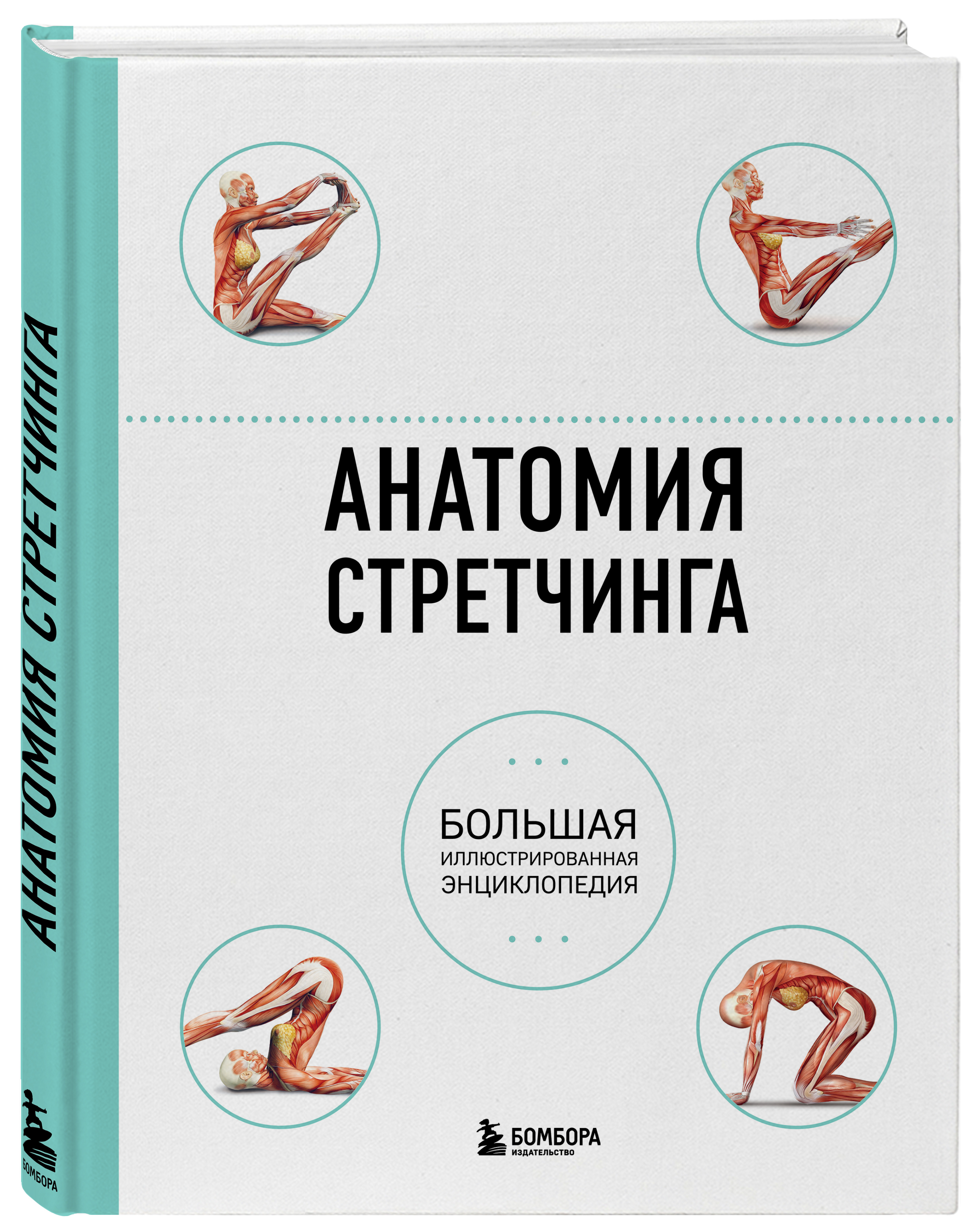 

Анатомия стретчинга: Большая иллюстрированная энциклопедия