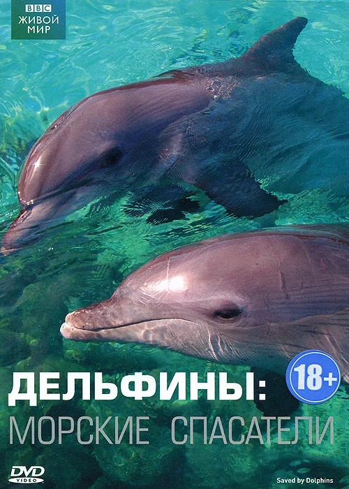 

BBC: Дельфины. Морские спасатели