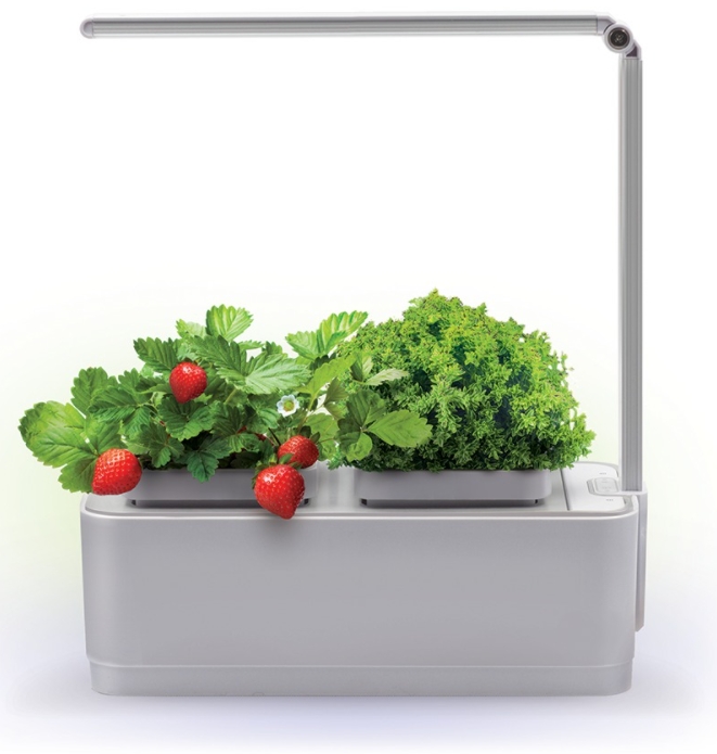 Компактный смарт-сад iGarden