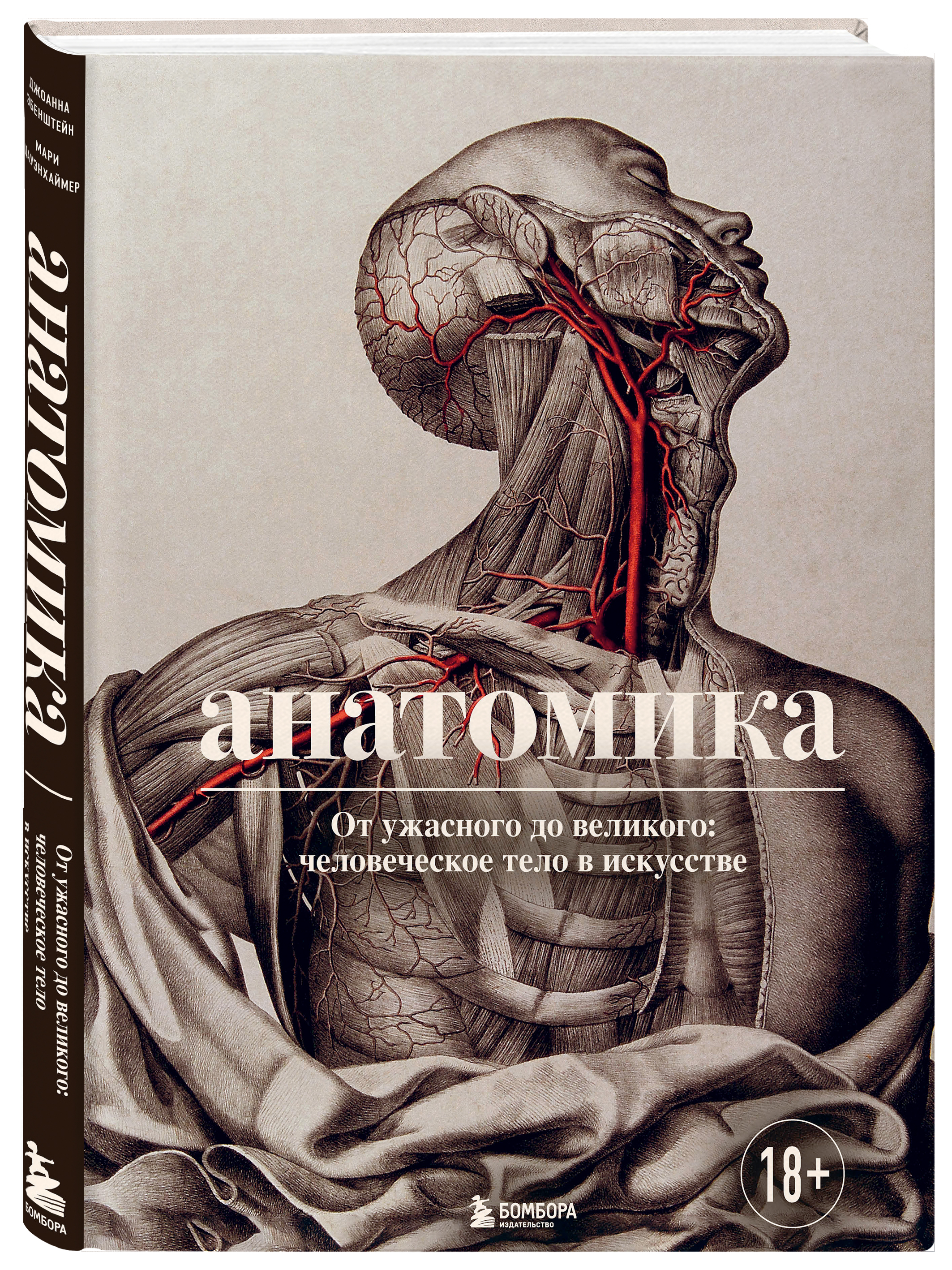 Анатомика: От ужасного до великого: человеческое тело в искусстве от 1С Интерес