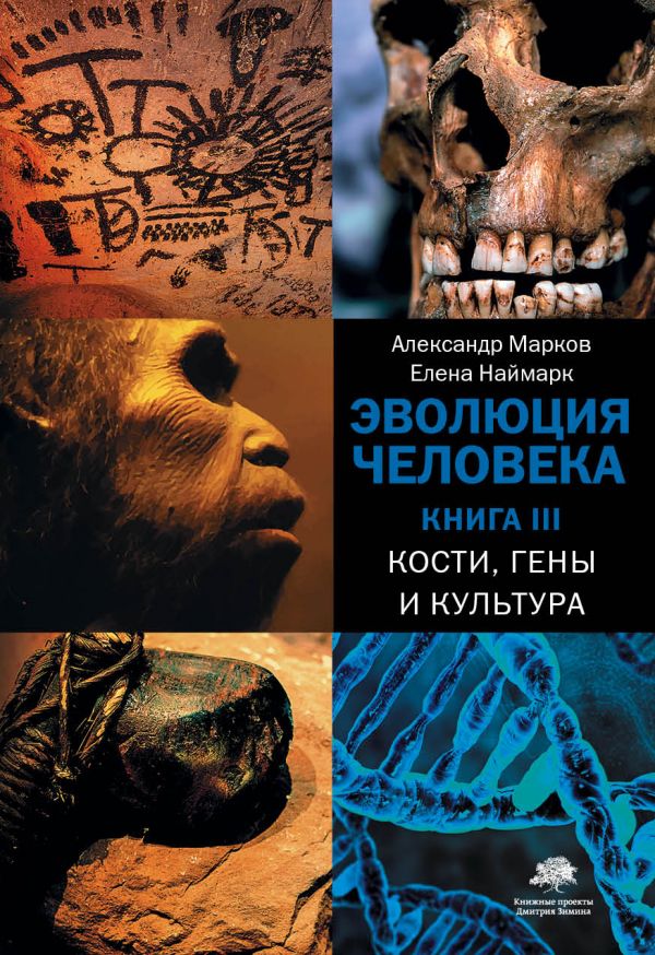Эволюция человека: Кости, гены и культура. Книга 3