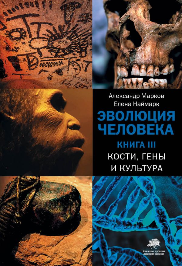 

Эволюция человека: Кости, гены и культура. Книга 3