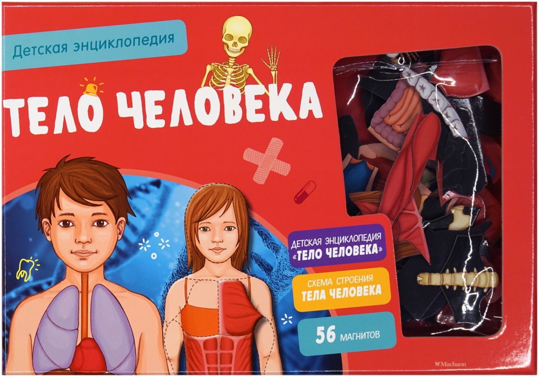 

Тело человека: Интерактивная детская энциклопедия с магнитами (в коробке)