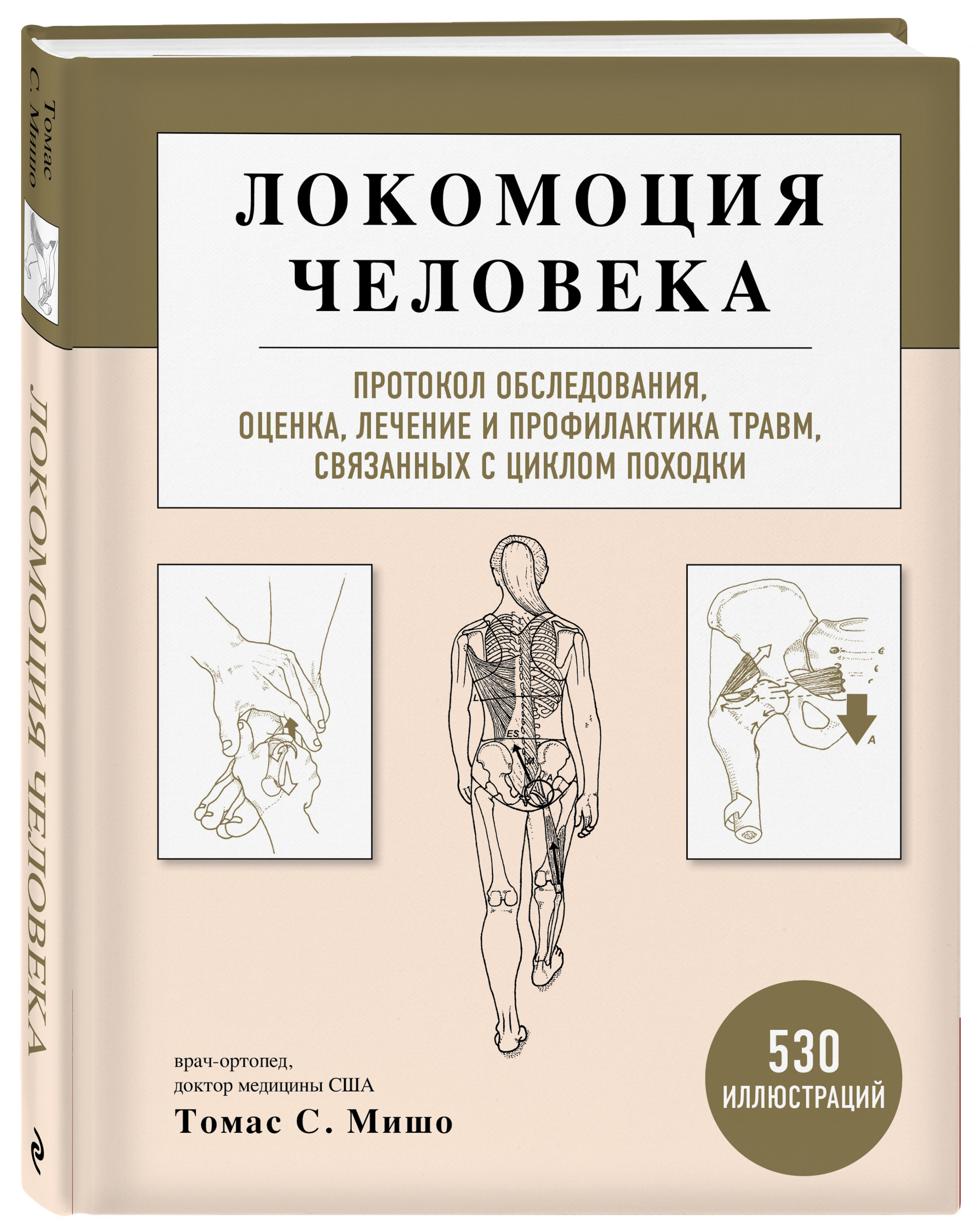 

Локомоция человека