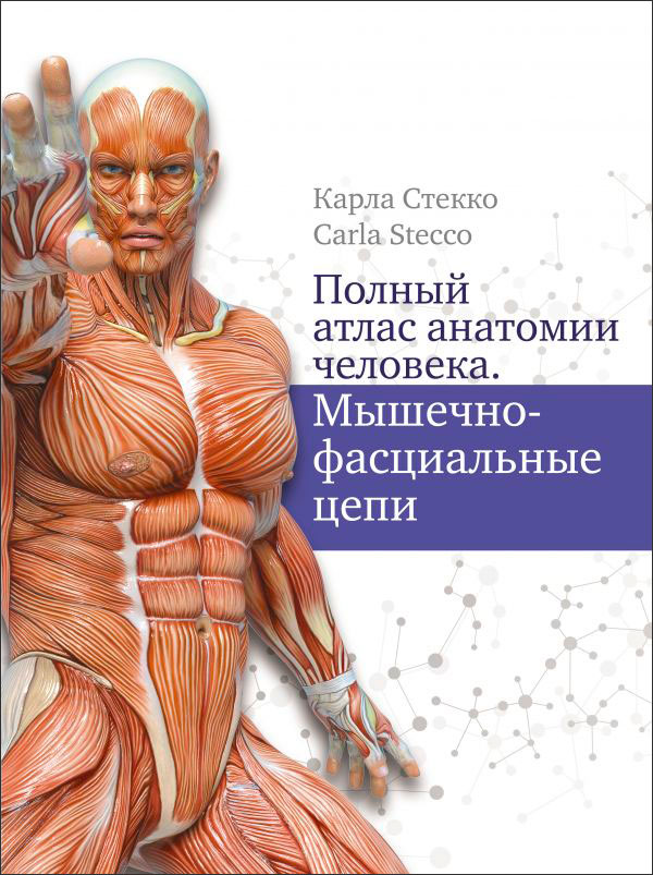 Полный атлас анатомии человека: Мышечно-фасциальные цепи