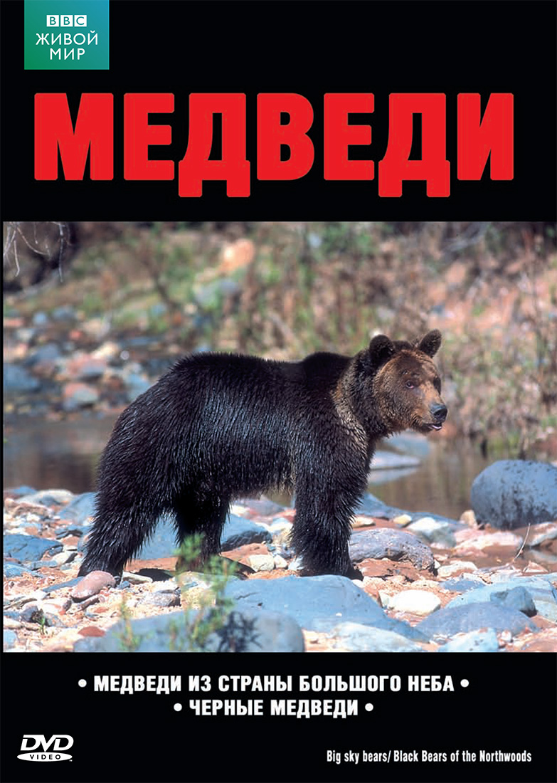 BBC: Медведи из Страны Большого Неба / Черные медведи (DVD)