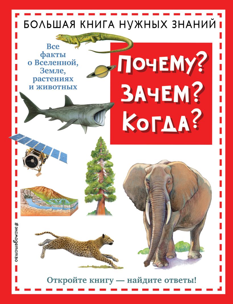 Почему? Зачем? Когда? Большая книга нужных знаний (новое оформление) от 1С Интерес