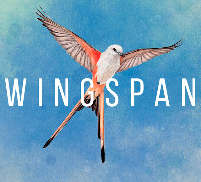 

Wingspan [PC, Цифровая версия] (Цифровая версия)