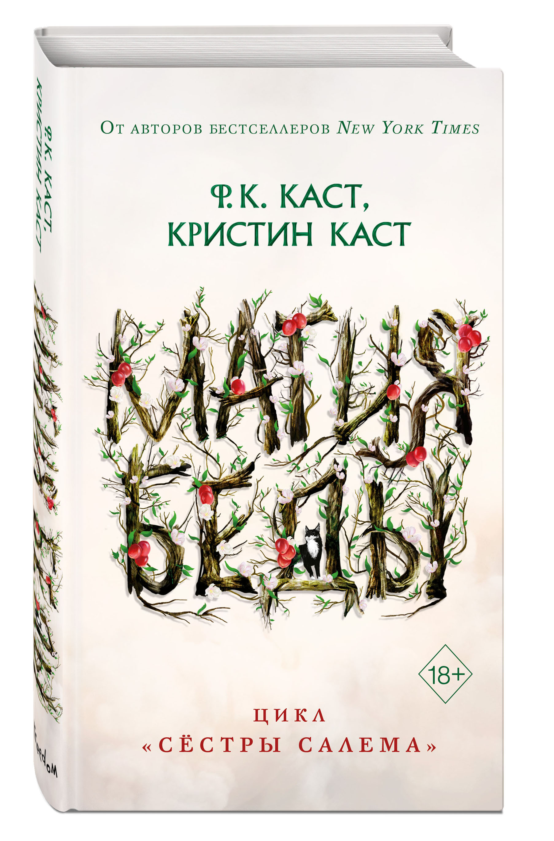 

Сёстры Салема: Магия беды. Книга 1