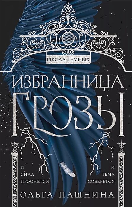 

Школа темных: Избранница грозы. Книга 1