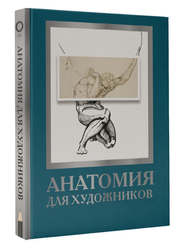 

Анатомия для художников