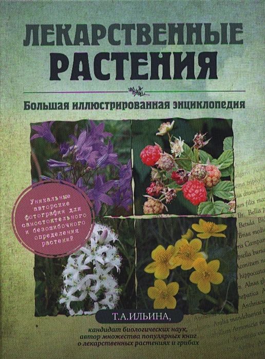 

Лекарственные растения. Большая иллюстрированная энциклопедия