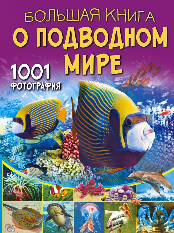 цена Большая книга о подводном мире: 1001 фотография