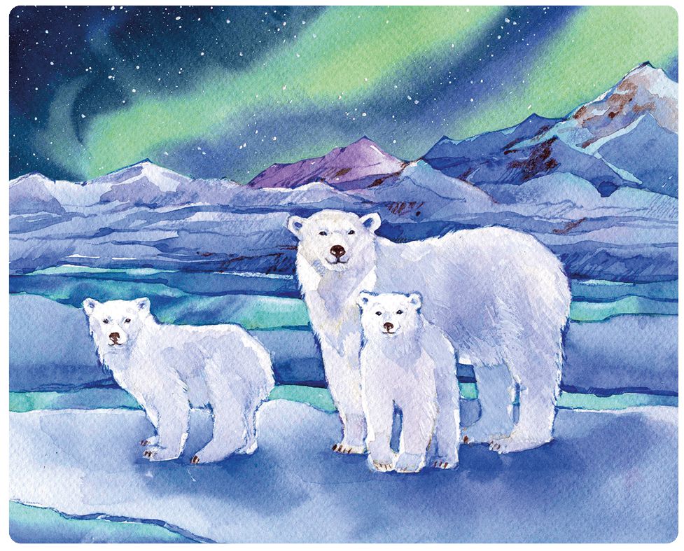 Пазл Wooden Puzzles: Белый медведь