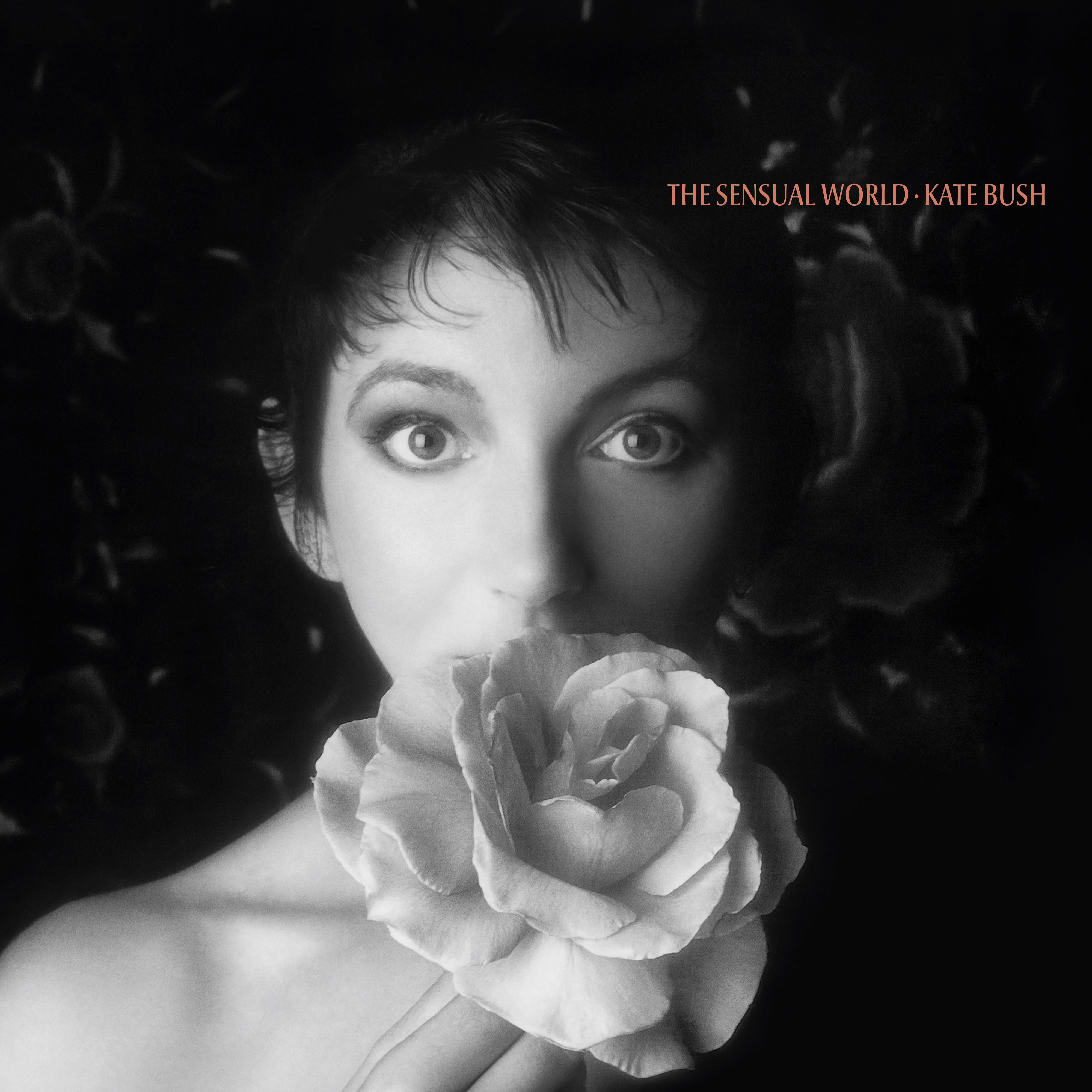 

Kate Bush – The Sensual World (LP)