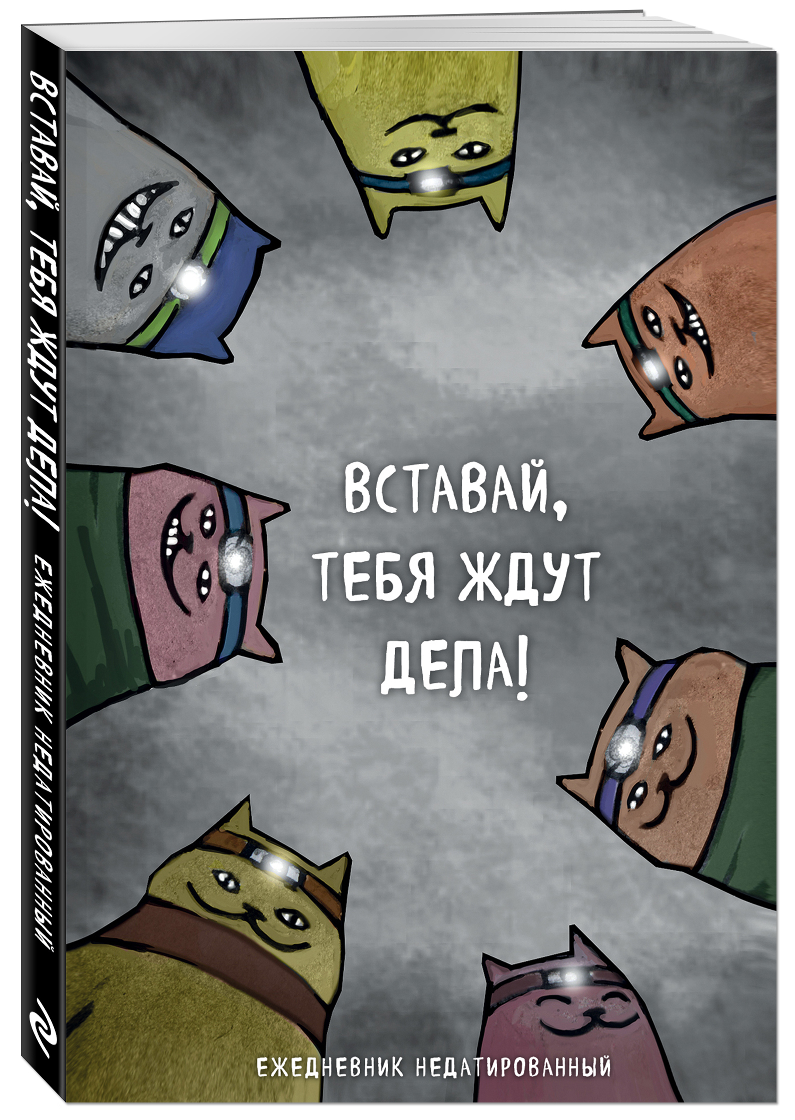 

Ежедневник Коты-туристы: Вставай, тебя ждут дела недатированный (А5, 72 л.)