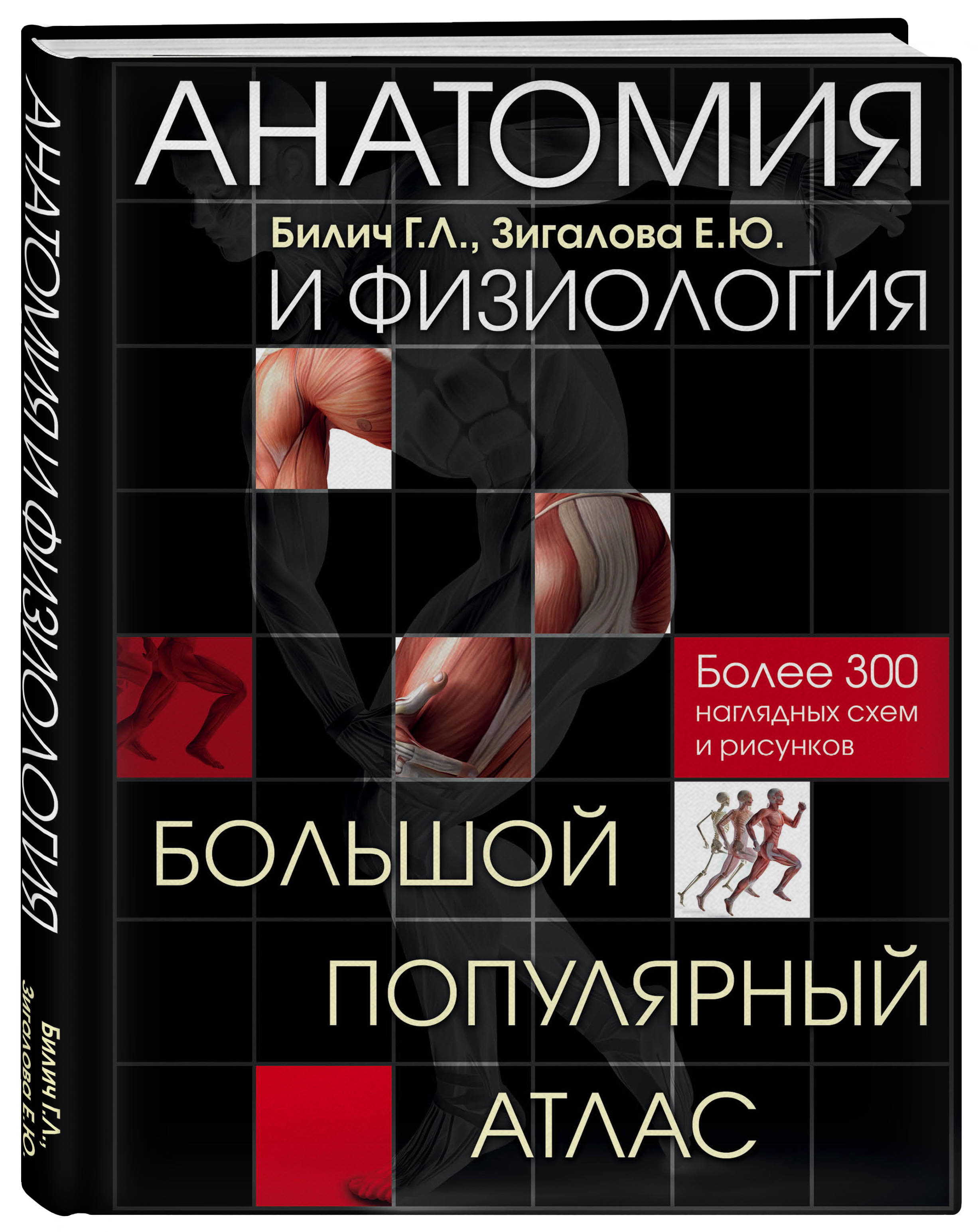 Анатомия и физиология: Большой популярный атлас