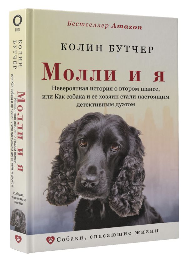 

Молли и я