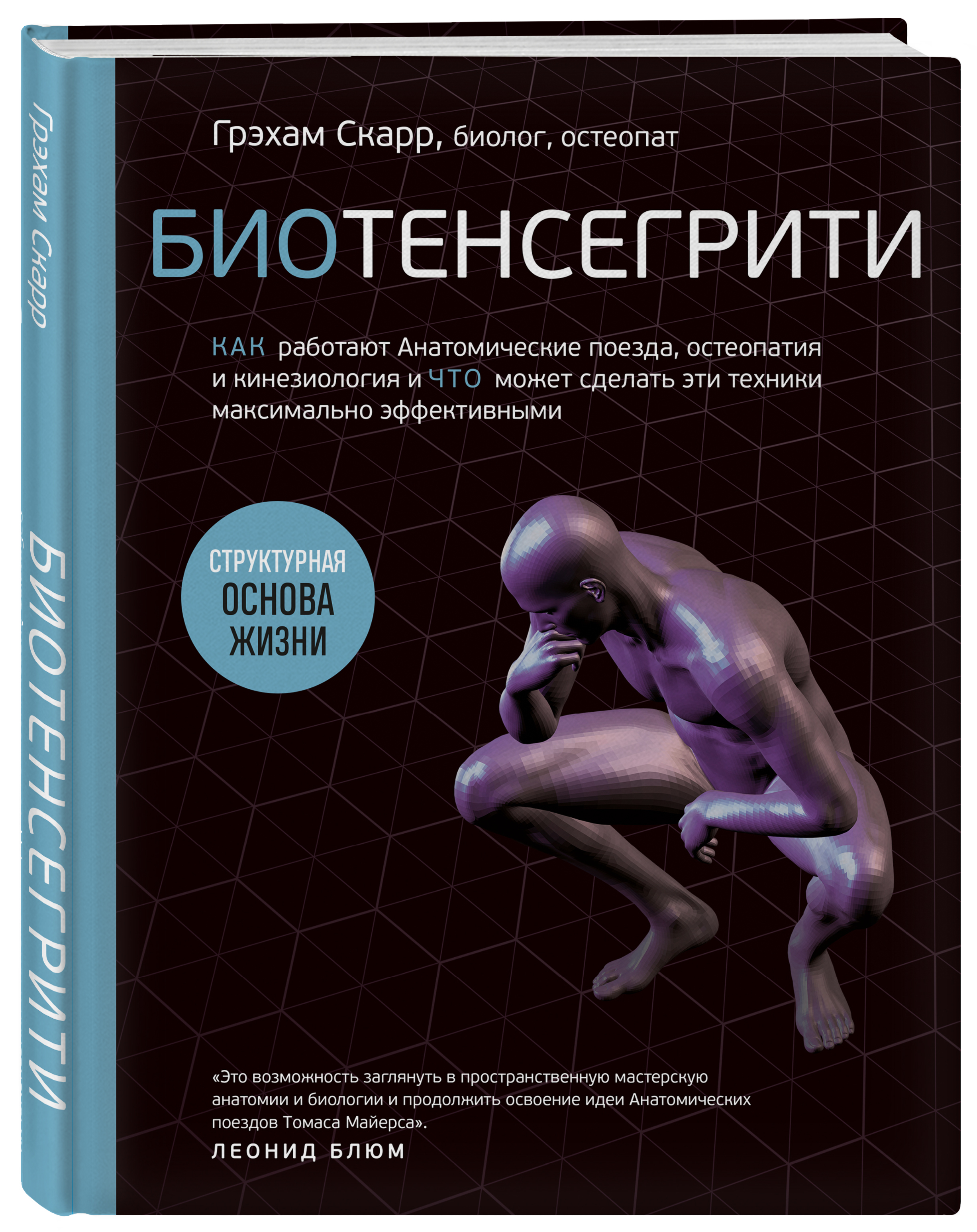 Биотенсегрити: Как работают Анатомические поезда, остеопатия и кинезиология и что может сделать эти техники максимально эффективными