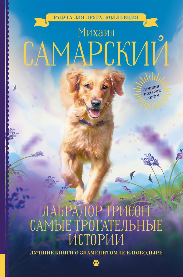 

Лабрадор Трисон: Самые трогательные истории