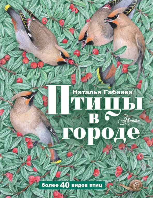 

Птицы в городе