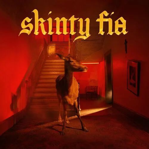 

Fontaines D.C. – Skinty Fia. Limited Edition. Coloured Red Vinyl (LP)