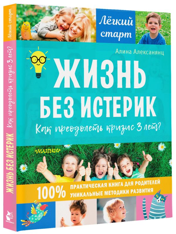 

Жизнь без истерик: Как преодолеть кризис 3 лет