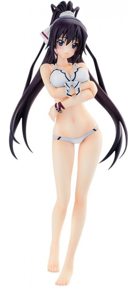 

Фигурка Infinite Stratos 2: Houki Shinonono Swimsuit Ver. (23 см)