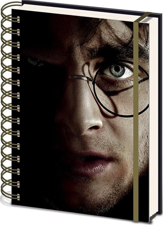 Блокнот Harry Potter: Harry Potter And Voldemort с 3D-изображением (A5, 148x210 мм)