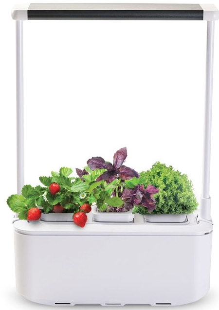 

Компактный смарт-сад iGarden PRO (с подсветкой)