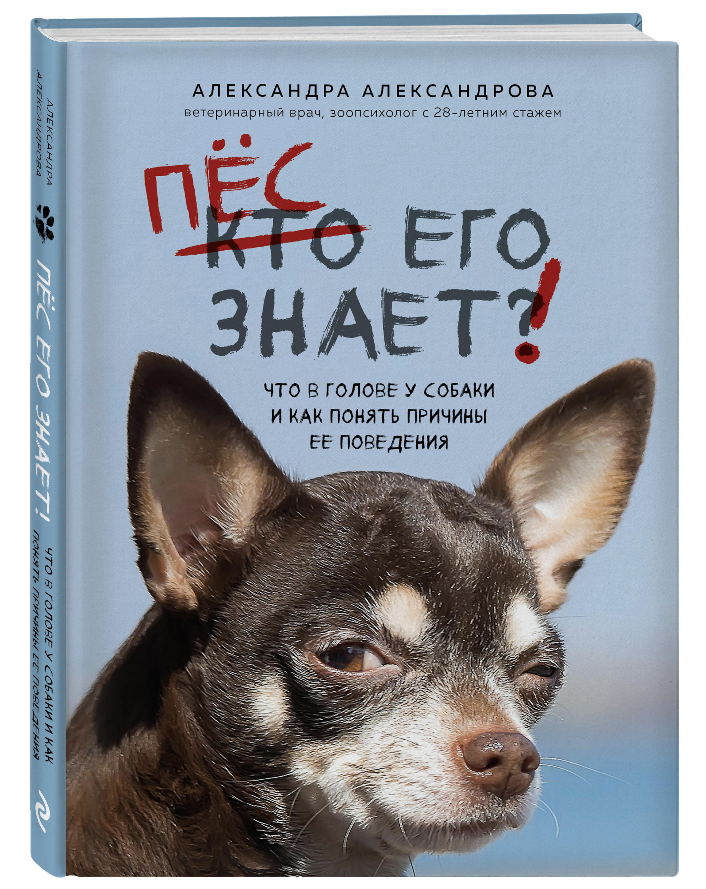 

Пес его знает! Что в голове у собаки, и как понять причины ее поведения