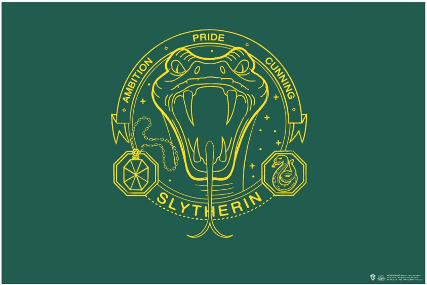

Коврик придверный Harry Potter: Slytherin