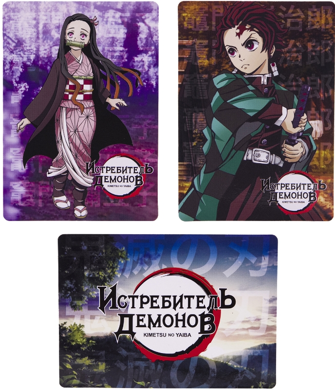 Набор магнитов Demon Slayer: Kimetsu no Yaiba фото