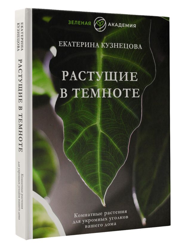 

Растущие в темноте: Комнатные растения для укромных уголков вашего дома