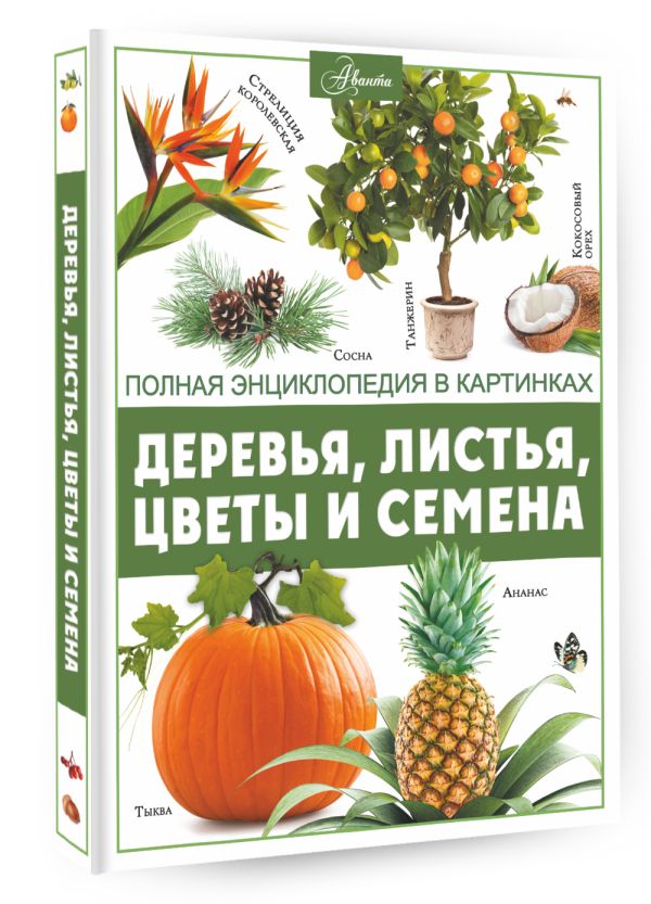 

Деревья, листья, цветы и семена