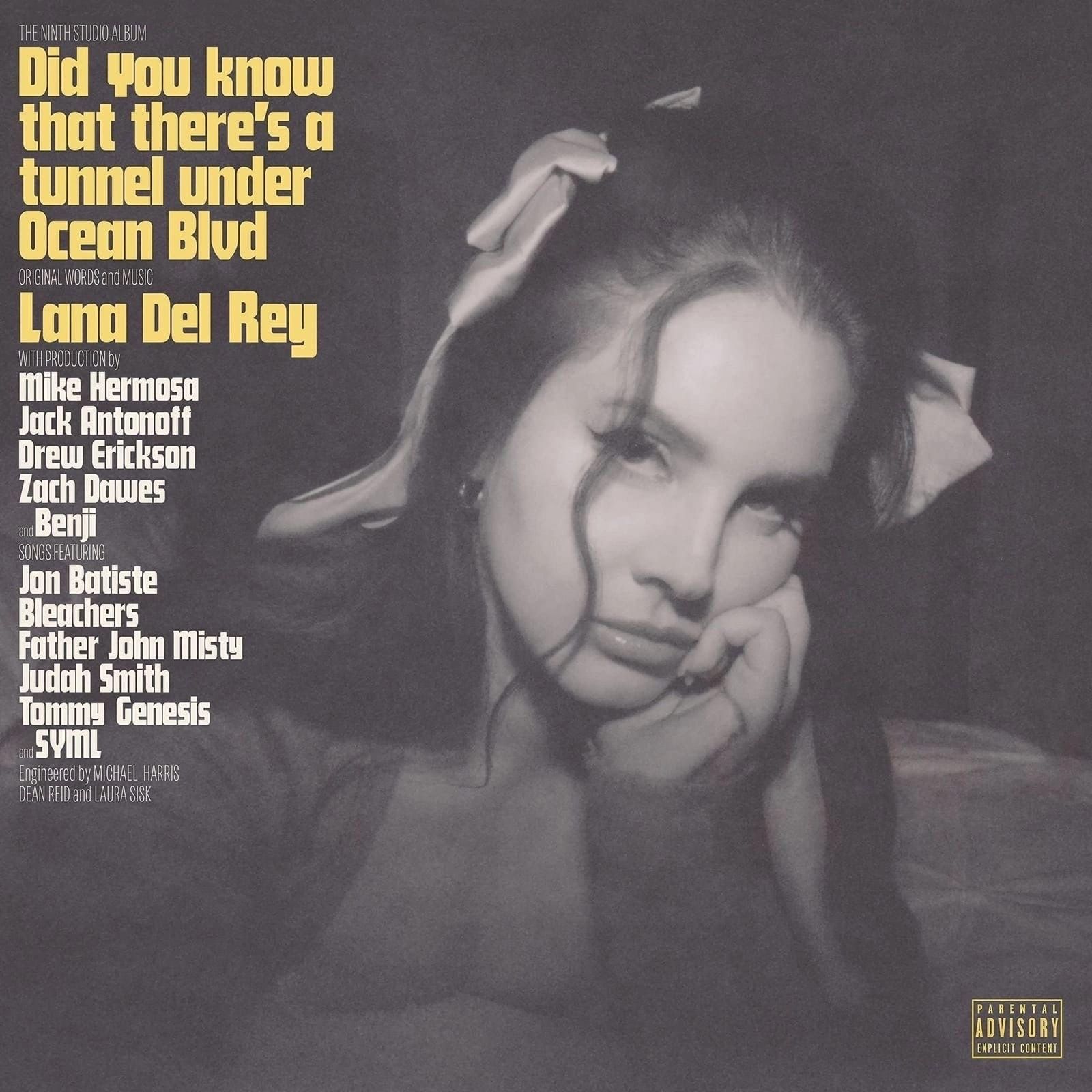 цена Lana Del Rey – Did You Know That There's a Tunnel Under Ocean Blvd (2 LP)