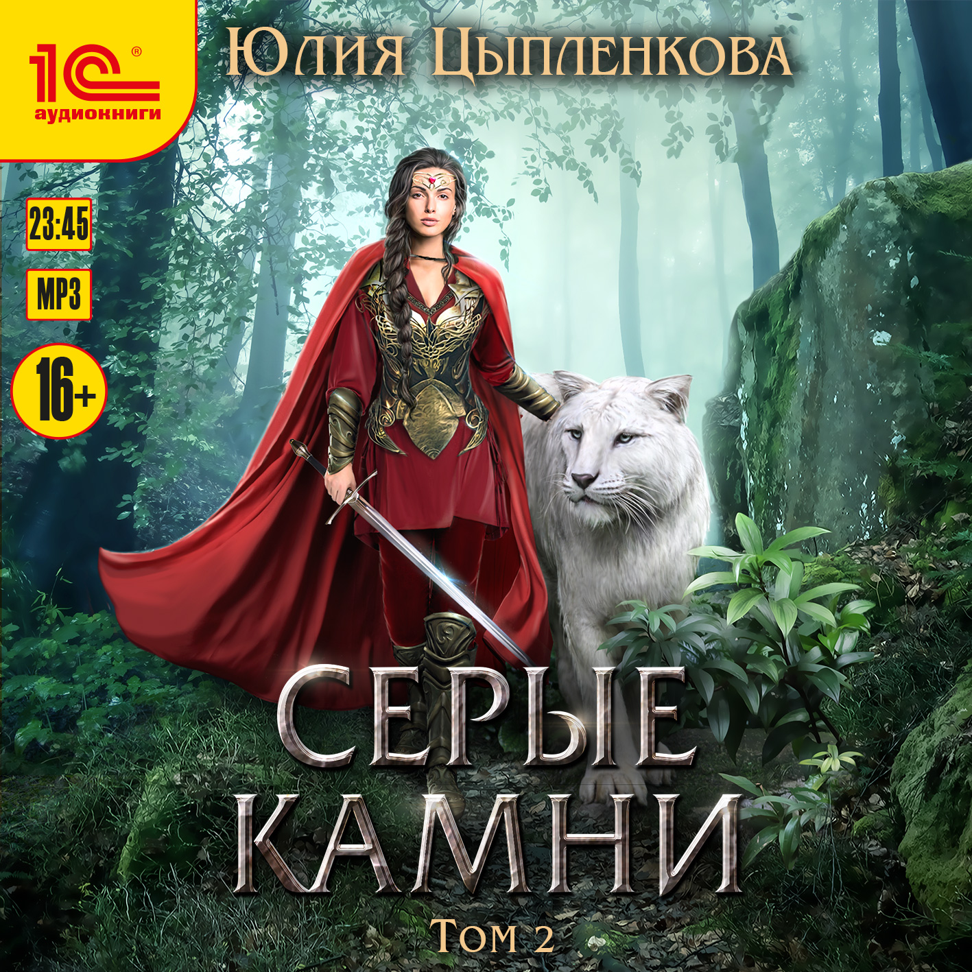 Серые камни. Том 2 (цифровая версия) (Цифровая версия)