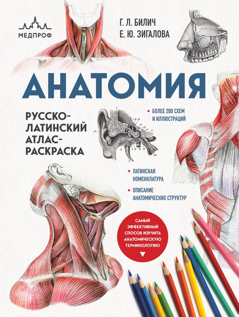 Анатомия Русско-латинский атлас-раскраска (новое оформление)